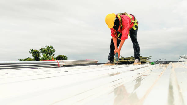 Best Gutter Replacement  in Randolph, WI
